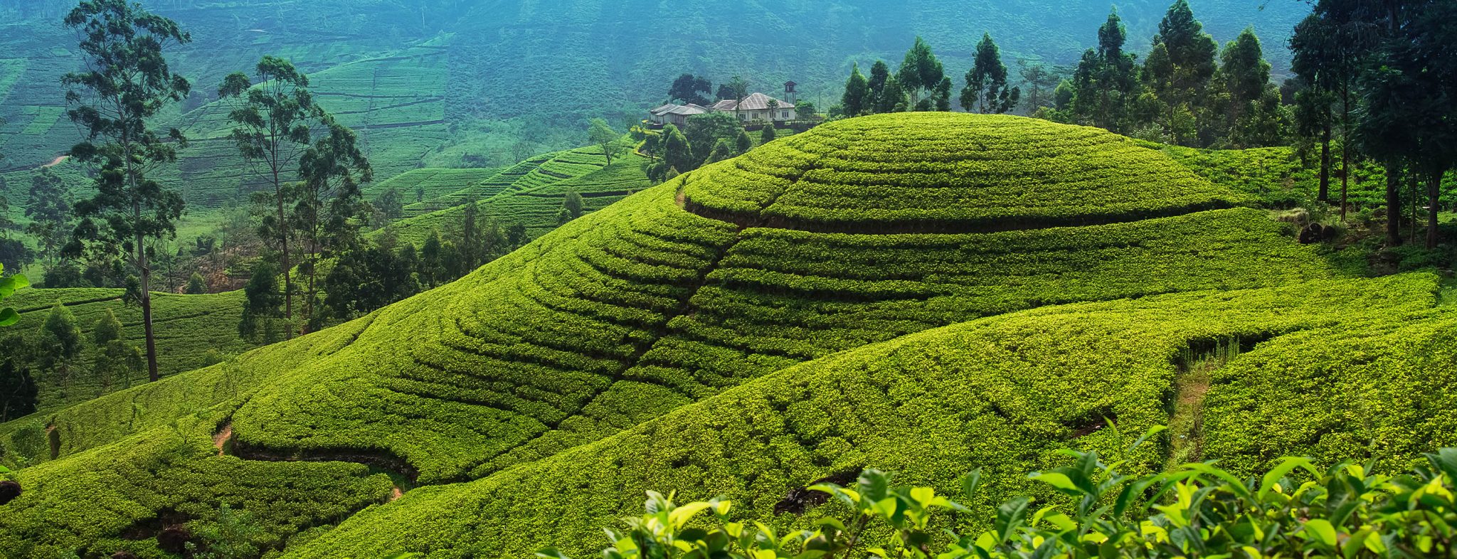 kelione i sri lanka, egzotines keliones