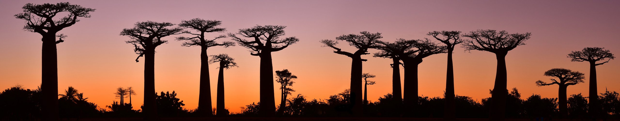 Pažintinė kelionė į Madagaskarą, egzotinės kelionės, madagaskaras